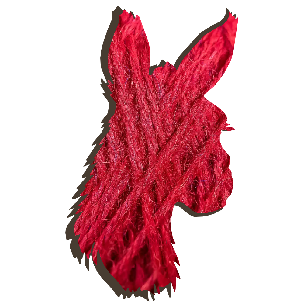 ALPAKITA - 100% Baby Alpaka Wolle - 50g