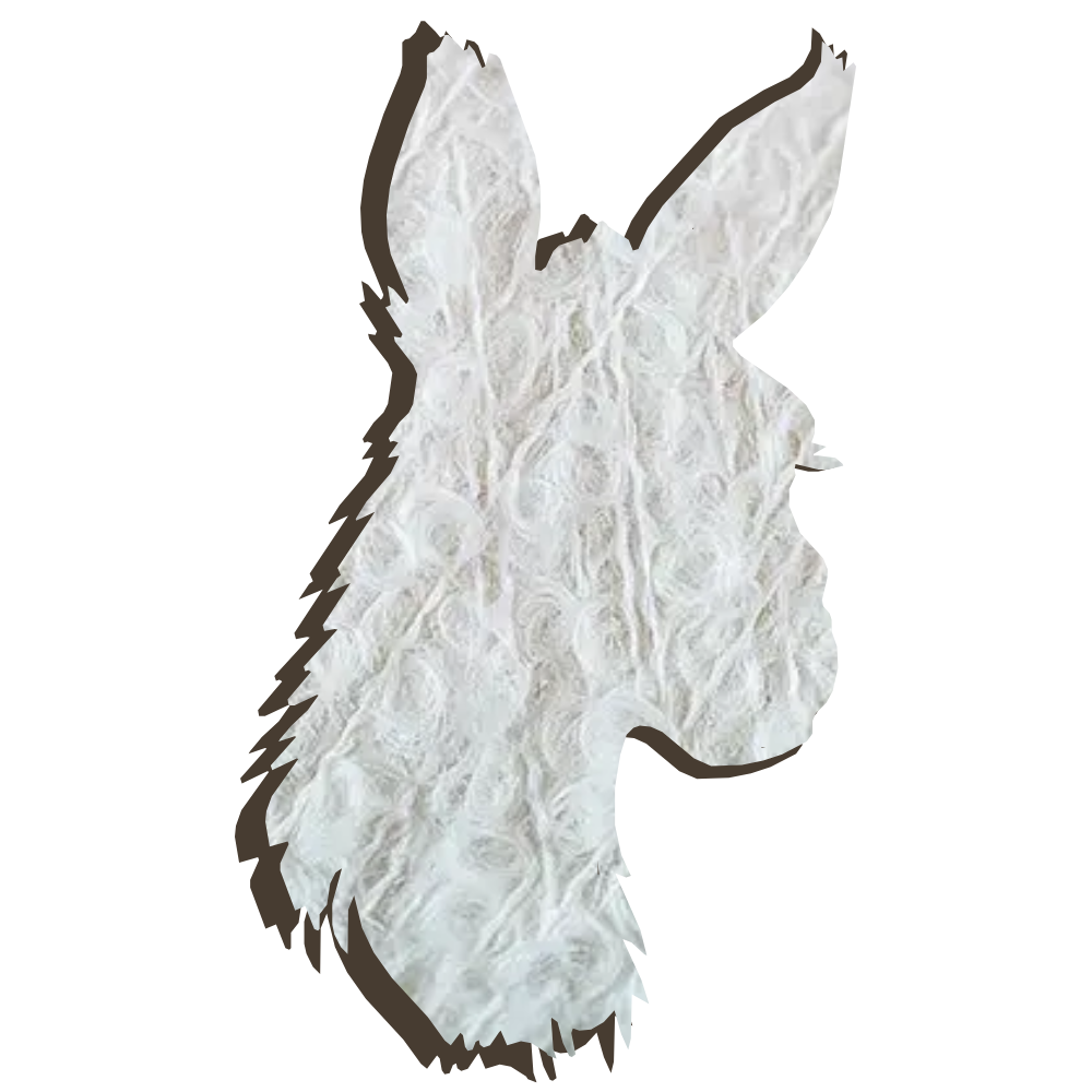 Alpaka Bouclé – Superfeines Alpaka - Runo