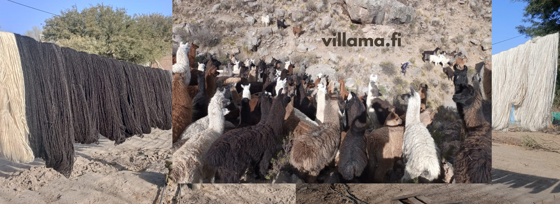 llama wool - laama villa - villama - handspun - hand - spund- organic