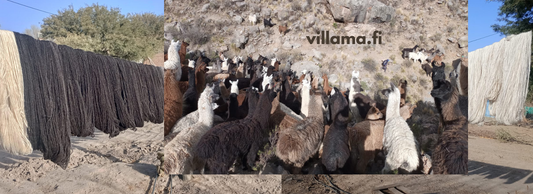 llama wool - laama villa - villama - handspun - hand - spund- organic