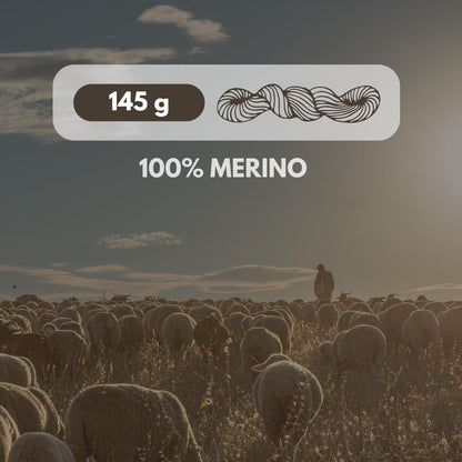 Andes 100% Meriinovillane Lõng - Aran