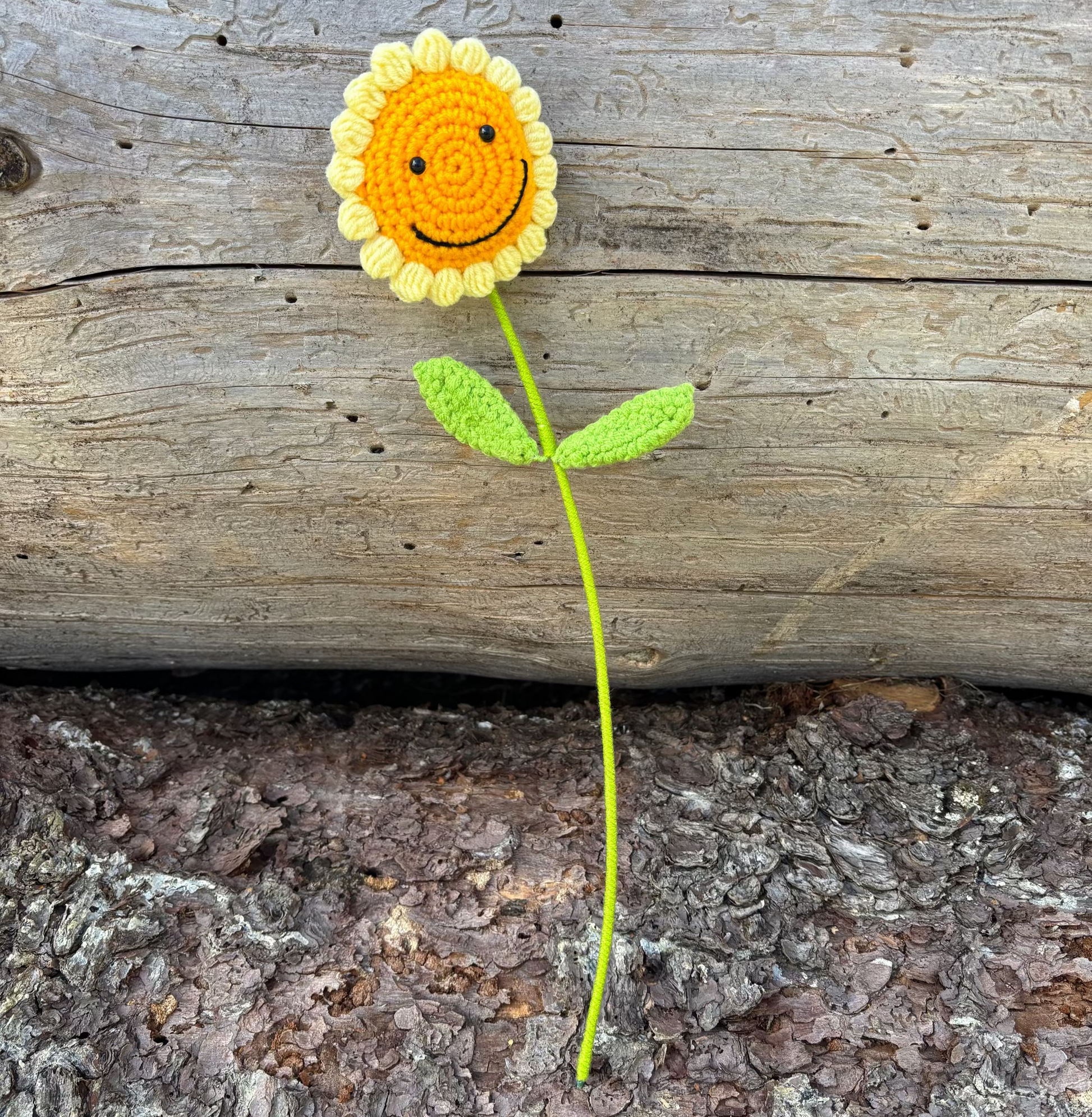 kukka-margarita-feliz