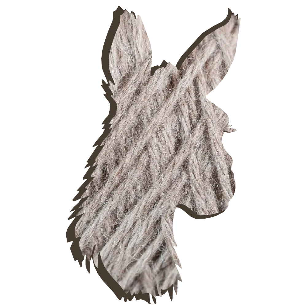 ALPAKITA - 100% Baby Alpaka Wolle - 50g